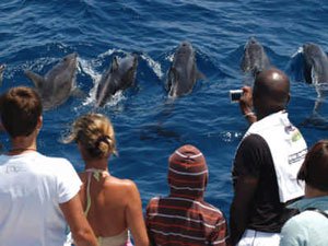 catamaran gran canaria GranCanariaBoatTrips